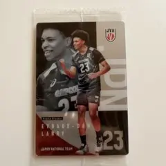 バレーボールカード エバデダン・ラリー
