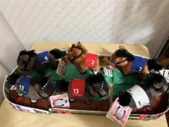 サラブレッドコレクション パドック