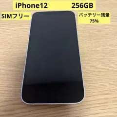 iPhone12 ブルー 128GB 本体 新品バッテリー 液晶ジャンク - メルカリ