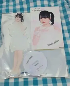 Item thumbnail for item a9937020-2bc2-4518-936c-760f62cab8bf