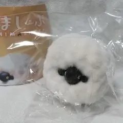 ましましーぷ ましまし ガチャ