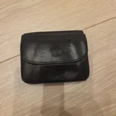 ミスターオリーブ