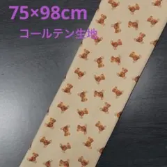 【1点限定】bear柄生地　コールテン　《75×98cm》