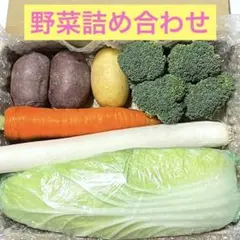 新鮮野菜セット　野菜詰め合わせ c