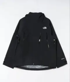 The north face Winter Dance Jacket