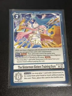 BT23 英語版 シスタモン姉妹のトレーニングジム