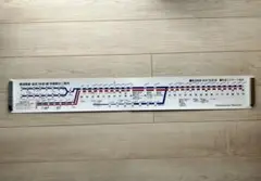 横須賀線・総武(快速)線 停車駅のご案内 JR東日本 車内掲示物 当時物 横須賀線 総武(快速)線 停車駅のご案内 JR東日本 電車 鉄道 車内掲示物