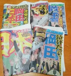 B*K様 阪神タイガース 優勝 スポーツ新聞 ５誌セットのサムネイル