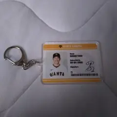 Item thumbnail for item b8cdfbaa-4ee0-4737-95b2-7edd79bf5ab4