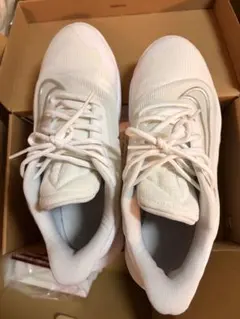 Item thumbnail for item da9e3fd1-40ae-4892-874f-0912fb3687ce