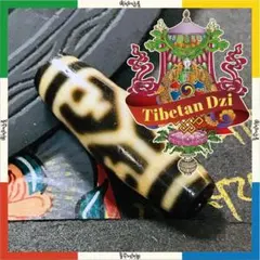 ☘️超レア 双魚金剛二眼天珠 ジービーズ Dzi ネックレス - メルカリ