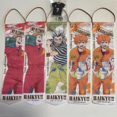 ハイキュー!! ペイントスーツガーランドコレクション