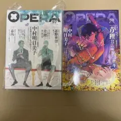 OPERA中村明日美子先生ポストカード付録 美品 オペラvol.47 - メルカリ