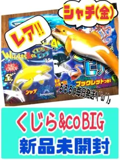 トイザらス限定☆新品未開封★シャチ(金) ゴールド ホエール くじらアンドコー