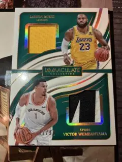 【99シリ】LeBron James & Wembanyama ジャージーカード