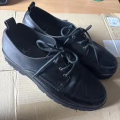 Item thumbnail for item 2ca5dcc1-31da-4132-8c13-ccd4f3ad7b35