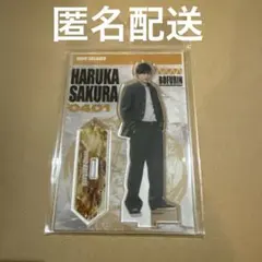 wind breaker 桜 映画