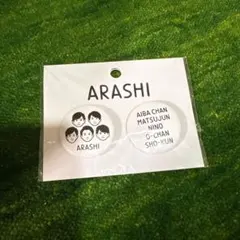 嵐 嵐を旅する展覧会 缶バッジ B