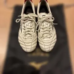 MORELIA NEO4モレリアネオ4