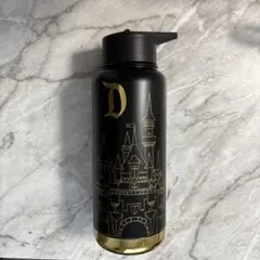 アメリカディズニー限定 眠れる森の美女 スターバックス タンブラー