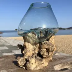 流木ガラスオブジェ大J 花瓶 金魚鉢 ガーデニング フラワーポット 水槽 アート