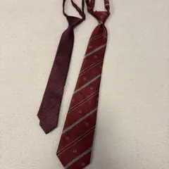 Item thumbnail for item 3ff24e14-82ee-45b2-a295-e850b9d8396a