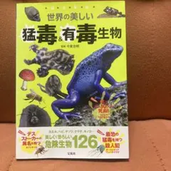 世界の美しい猛毒有毒生物