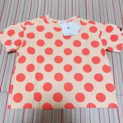 Item thumbnail for item 873d09e4-3c7b-478b-b840-f2b2ba3f1bd3