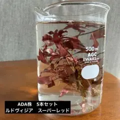 ちむ様 リクエスト 2点 まとめ商品