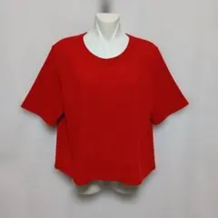 m24709・値下★MISSEL★綿100%★L★半袖Tシャツ ゆったりのサムネイル
