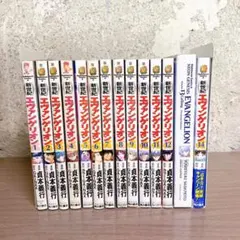 新世紀エヴァンゲリオン 1〜14 全巻セット　13巻特装版