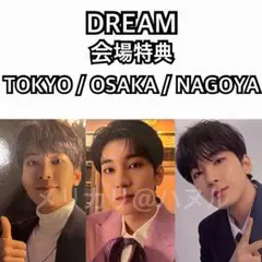 SEVENTEEN ウォヌ DREAM 会場限定 トレカ