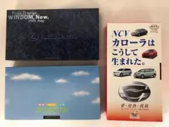 Item thumbnail for item 6e34ccc9-062d-4b7f-bec6-8a44de2e293d