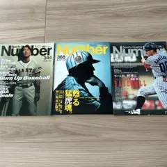 Item thumbnail for item dafab30a-48cd-4d65-9b69-6f5265d3ff1c