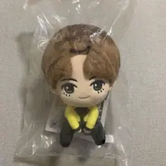 BＴＳ(v)キムテヒョンB AＮＤ AＩ景品1番くじぬいぐるみ BTS✨V テテ テヒョン パーマ ちび ぬいぐるみ 本体 20cm ドール