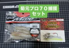 エバーグリーン ブルポイントシャッド・ジャックハンマー ★菊元プロ70捕獲セット