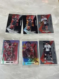 バレーボール選手トレーディングカードセット