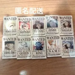 ワンピース　手配書　マグネット