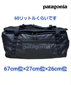 2025年最新】パタゴニア ブラックホールダッフル 60の人気