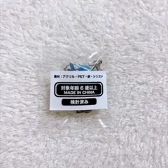 CR CrazyRaccoon ぷくぷくランダムチャーム mondo