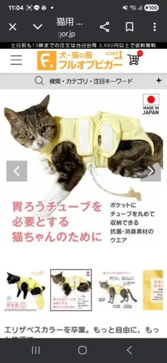 Item thumbnail for item 13fa6a80-f81a-4721-8b4c-830403112b7c