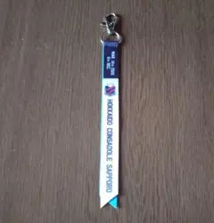 北海道コンサドーレ札幌　vs ジュビロ磐田戦　フィンのみ