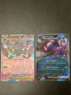 ポケモンカード モルペコex メガゼラオラex 2枚セット - メルカリ