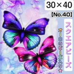 【No.40】ダイヤモンドアート★ABビーズ スクエア 蝶