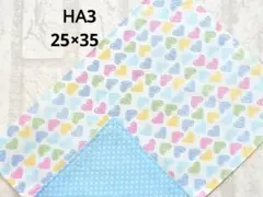 Item thumbnail for item ffdf92dc-e904-4649-930e-1b8b36cb3c59