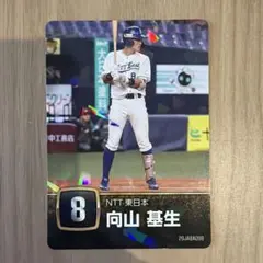 社会人野球 NTT東日本 向山基生 トレーディングカード