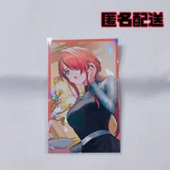 レイン・パターソン コレカ