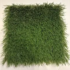 2025年最新】人工芝 30cmの人気アイテム - メルカリ