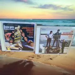 THE BEACH BOYS' / 国内盤含む２枚セット