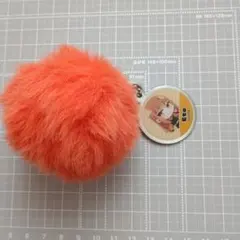 カラフルピーチ えと ボンボンチャームのサムネイル